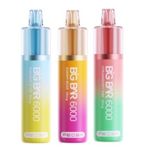 Big Bar 6000 Disposable Vape