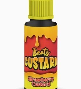 Kingston Berts Custard 100ML Shortfill